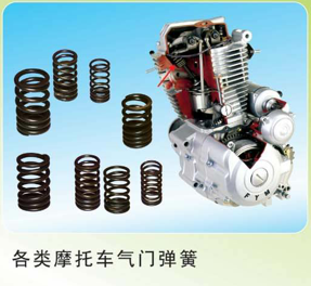各類(lèi)摩托車(chē)氣門(mén)彈簧