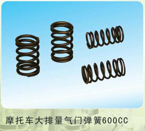 摩托車(chē)大排量彈氣門(mén)簧600CC